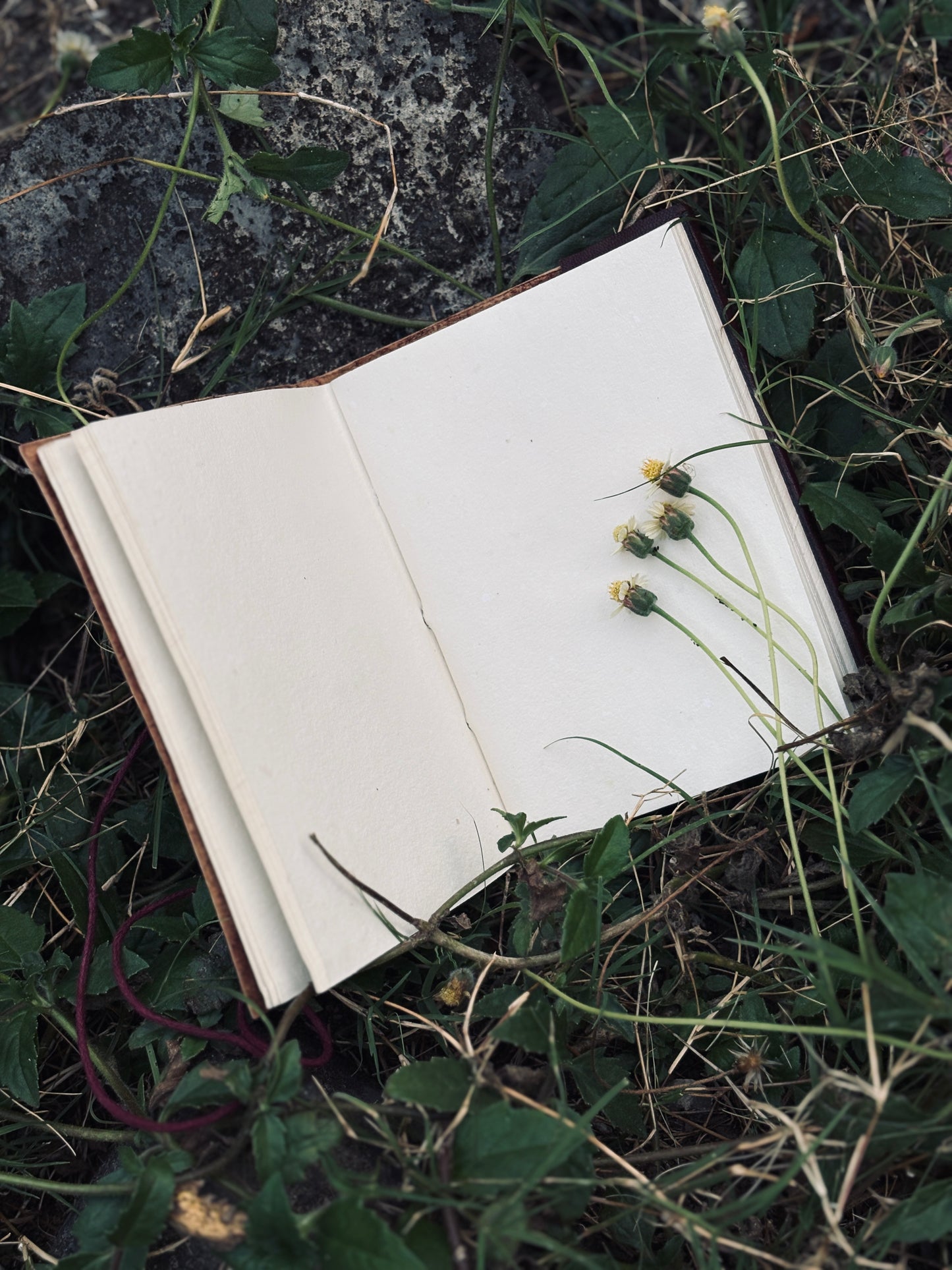 Vana Veda Paper Note Book