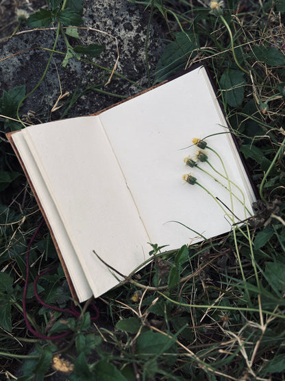 Vana Veda Paper Note Book