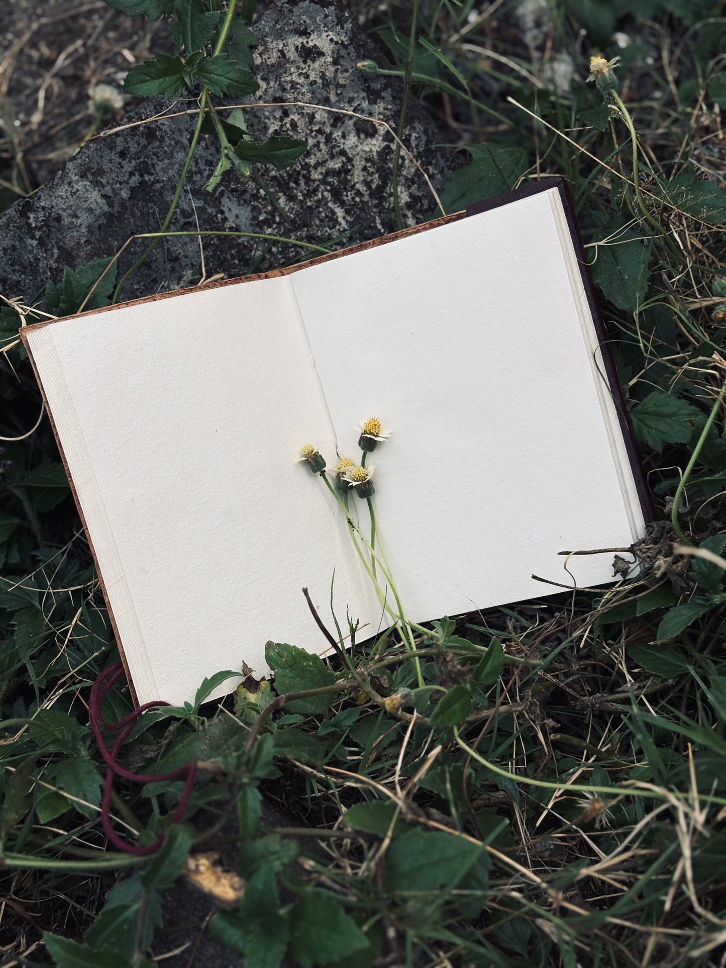 Vana Veda Paper Note Book